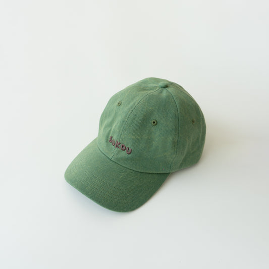 women's signature dad cap - green