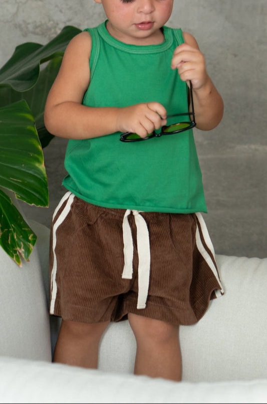 levi shorts - chocolate stripe