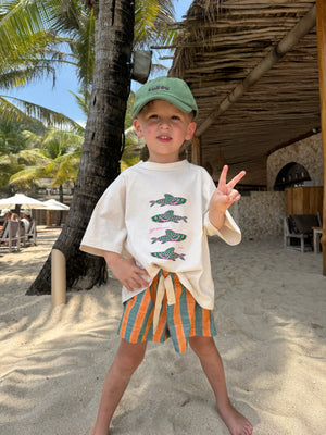 orange / green stripe